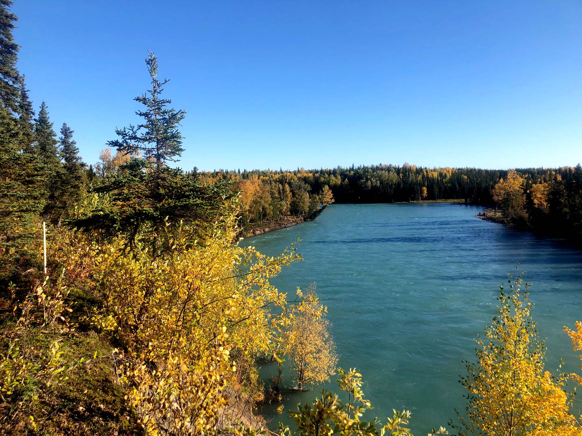 View from the Sockeye Cabin at Anglers Haven Lodge