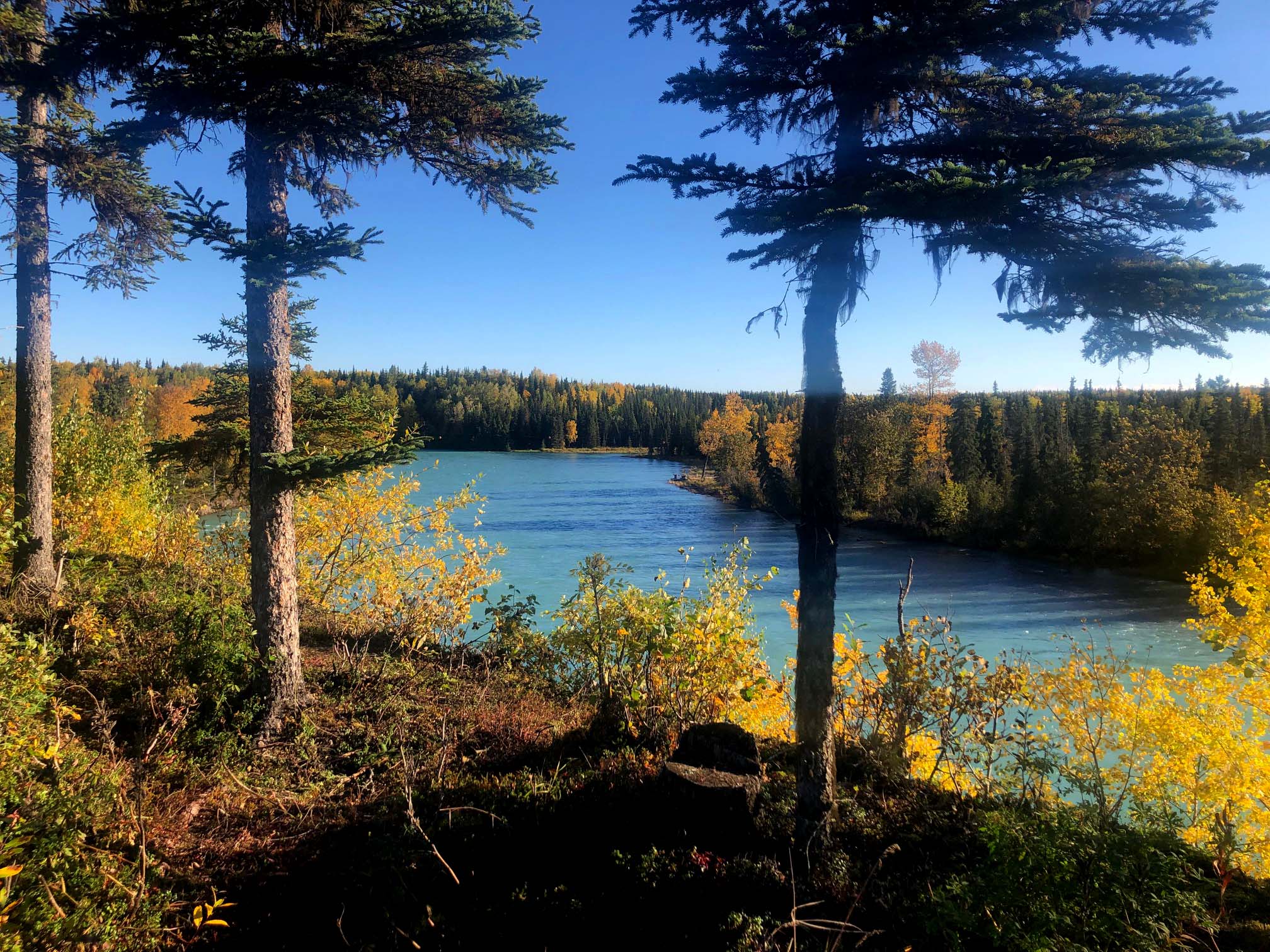 The view from our River Cabins